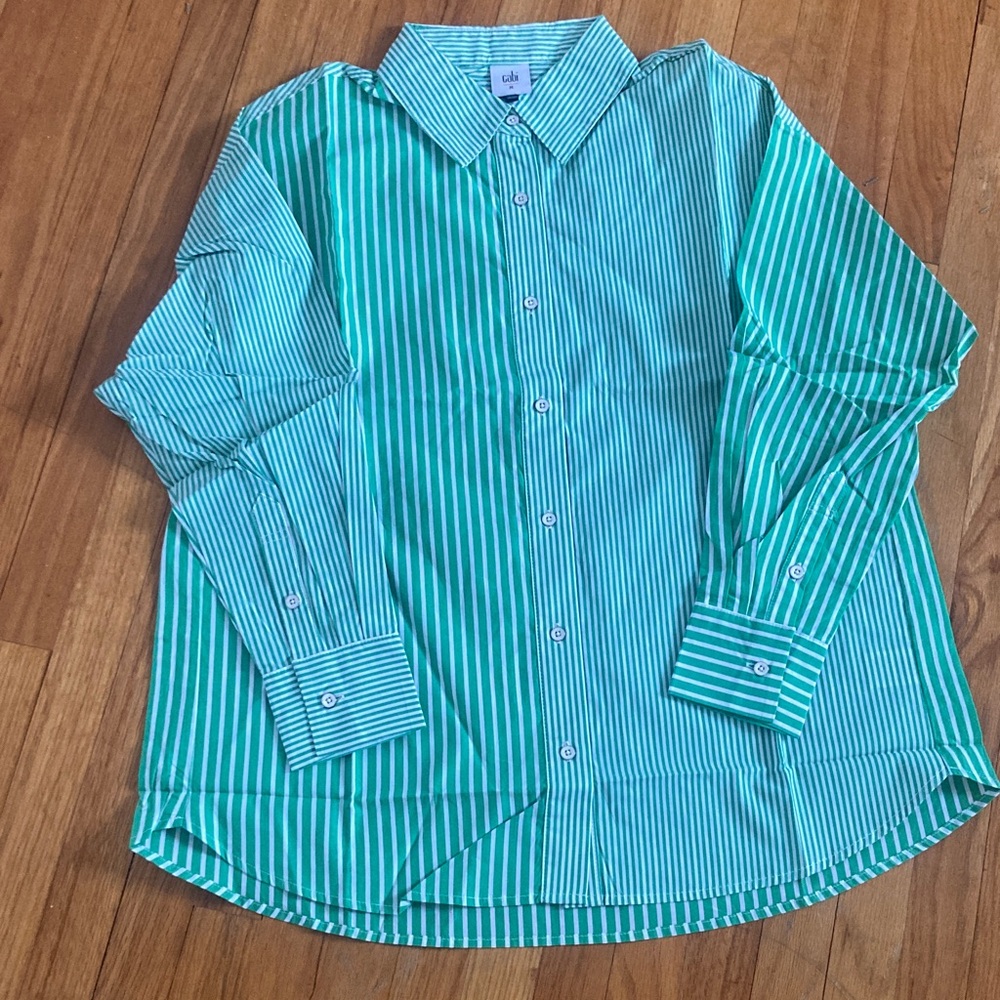 CAbi Teal & White Vertical-Stripe Button Front Collared Shirt M New